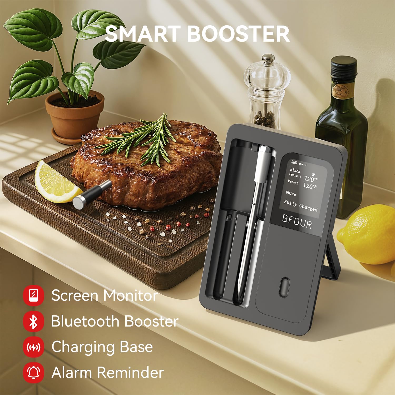 ワイヤレス肉温度計 Bluetooth 防水プローブ 充電式 - Kitchen Appliances Video のレビューと価格
