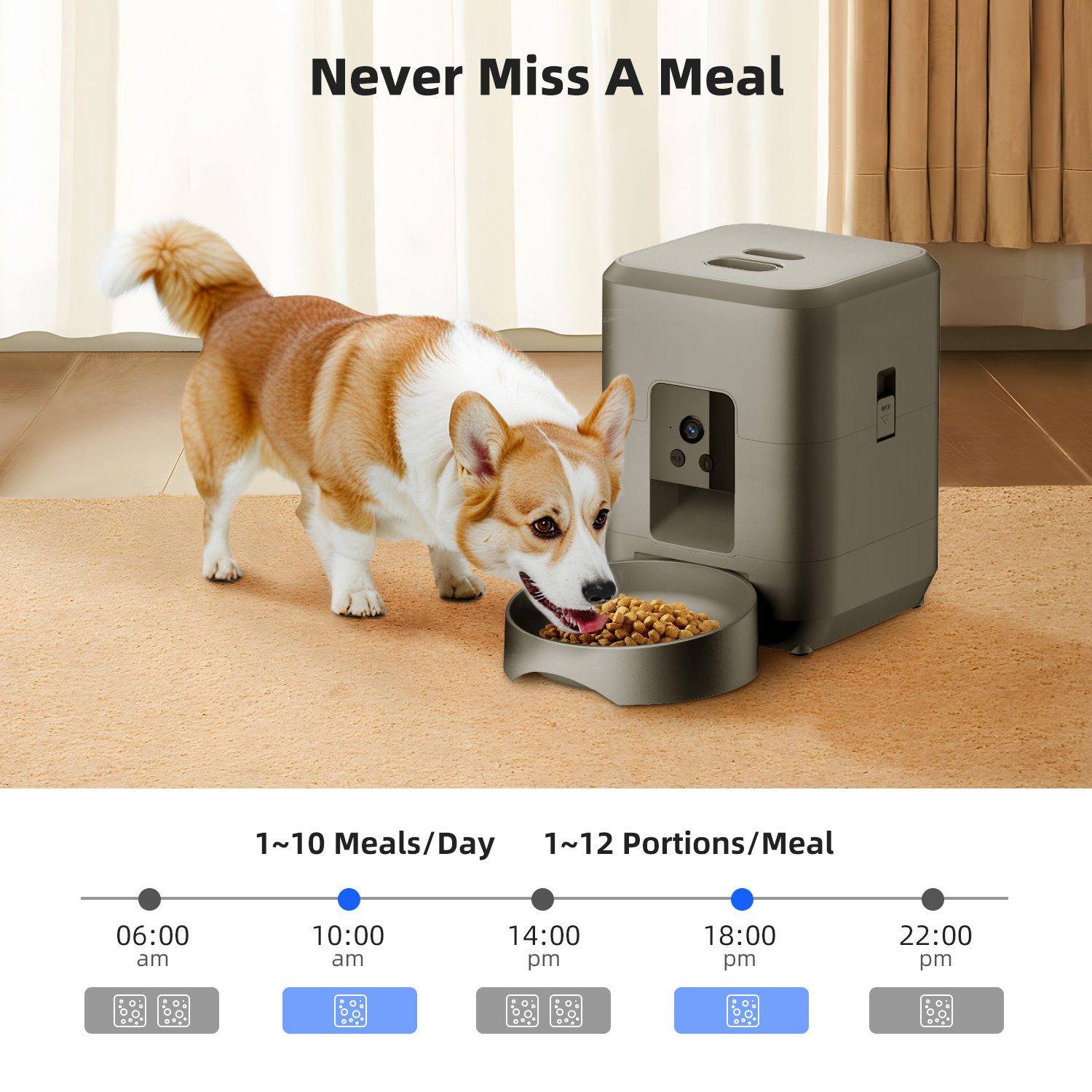 2L自動ペットフィーダー 猫用スマートペットフィーダー Wi - Kitchen Appliances Video のレビューと価格
