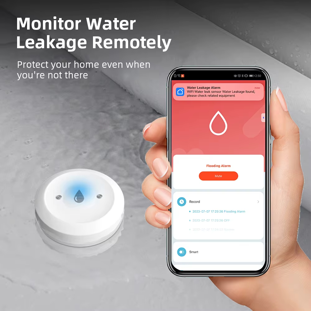 ZigBee スマート水漏れセンサー 洪水漏れセンサーアラー - Kitchen Appliances Video のレビューと価格
